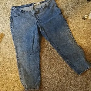 Plus Jeans size 24 wp